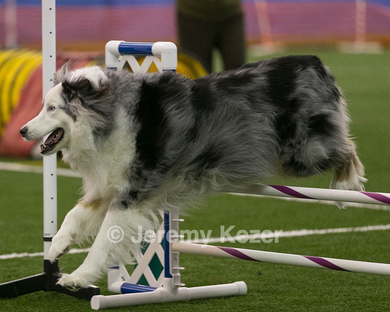 20150321-LEAP-0368.jpg