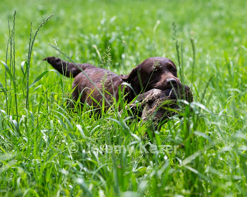 20160604-SEAL-1166.jpg