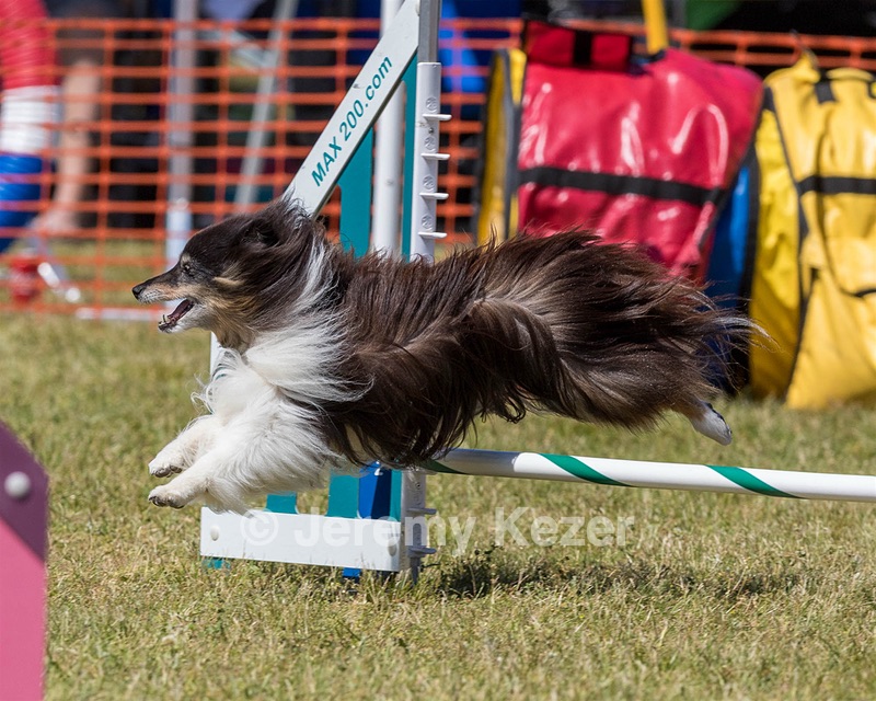 Daisy Witting