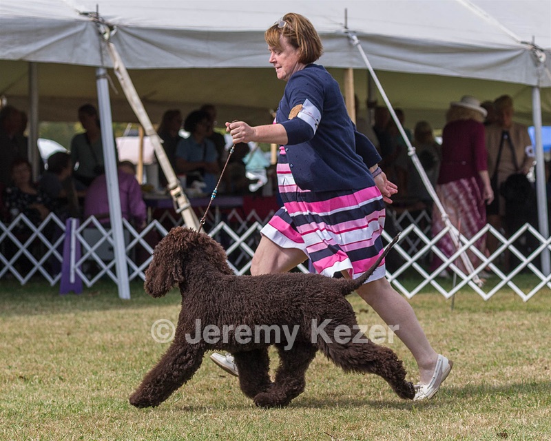 20 - GCH ALL GREEN WI'ENVY V ALPHA NORDIC DS CD RE
