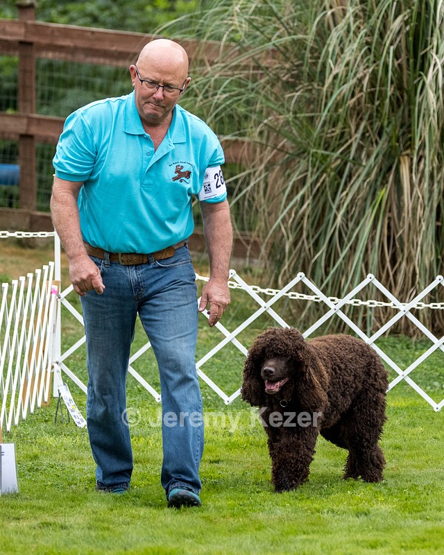 2802 - CH BLACKTHORN'S LASS THAT LOVES A SAILOR IN WICKLOW CD BN RM CGC (Calypso)