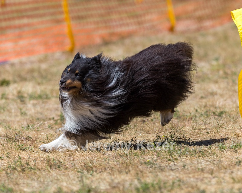 20160619-CCKC-1252.jpg