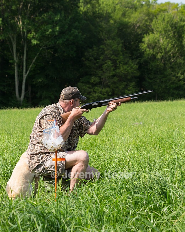 Joy Reed