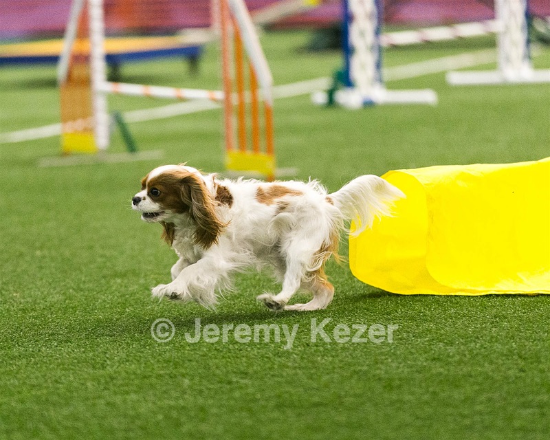 20150322-LEAP-0152.jpg