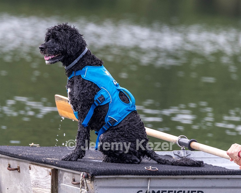 Fenwick Kutner