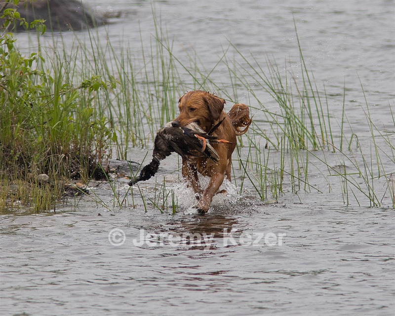 20080531-HRW-0244.jpg