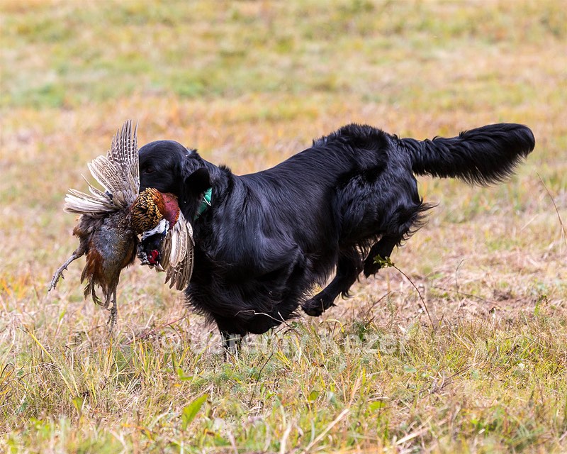 20161008-WCL-0008.jpg