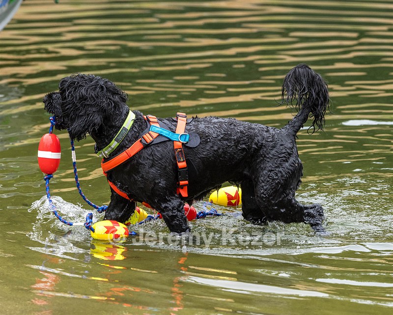 Sedona O’Brien