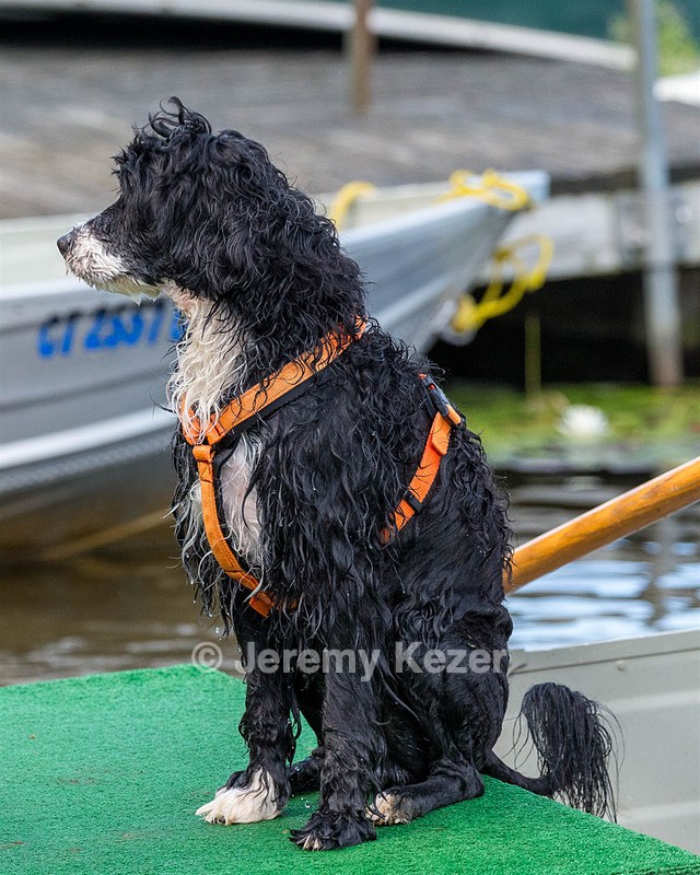 Nelly