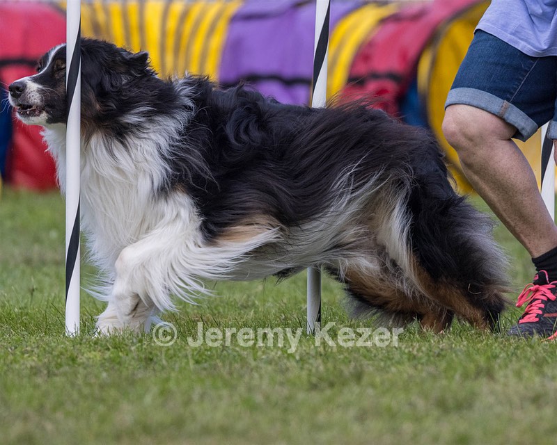 20230917-PVKC-2778.jpg