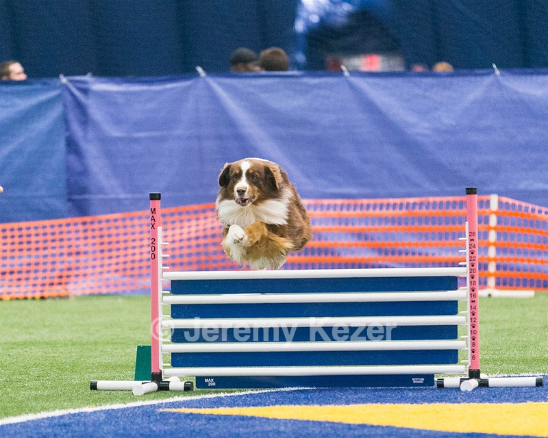 20150322-LEAP-0540.jpg