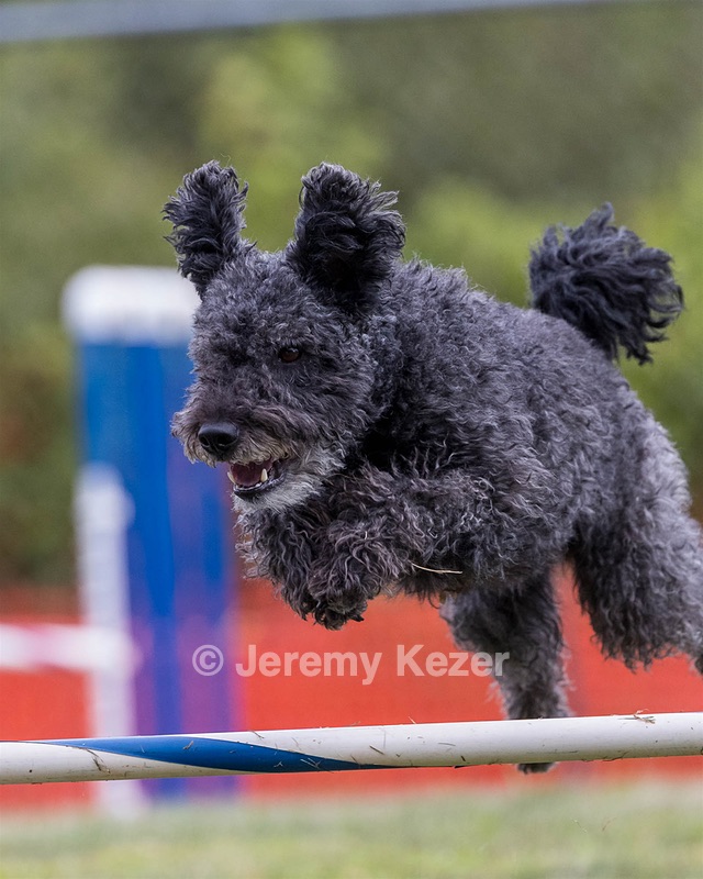 Frankie Barnum