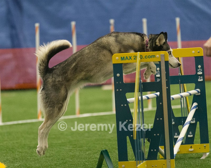 20150321-LEAP-1096.jpg