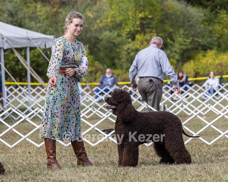 20 - Poole's Ide The More The Merrier RN DN CGC (Hattie)