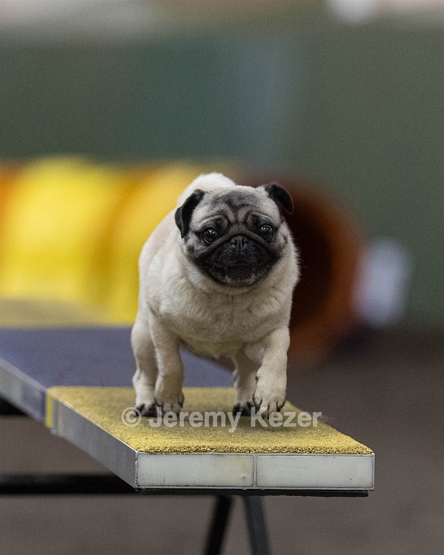 Ellie Coleman