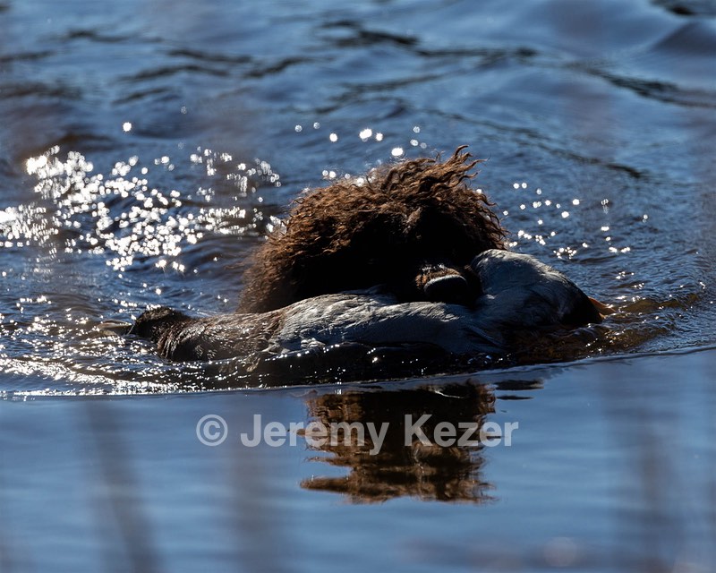 Ghillie Kezer