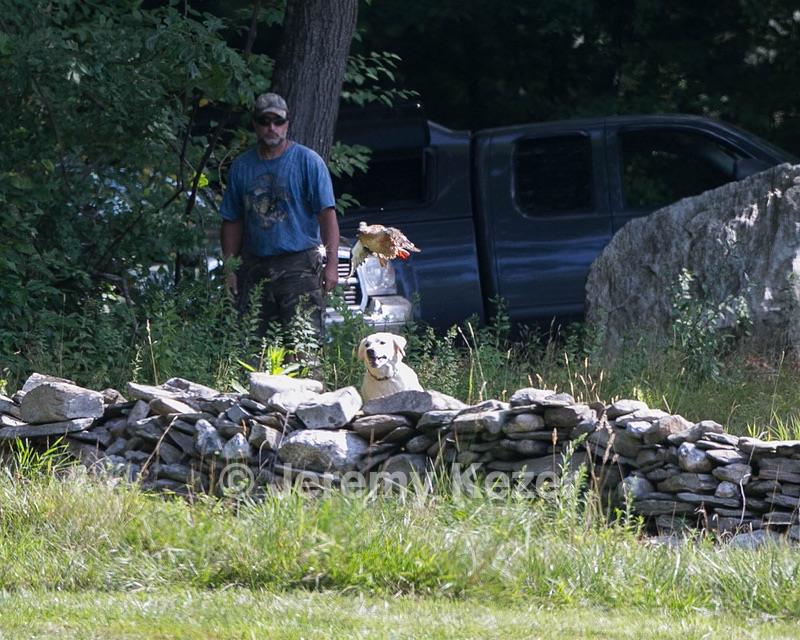 20140810-SHL-0388.jpg