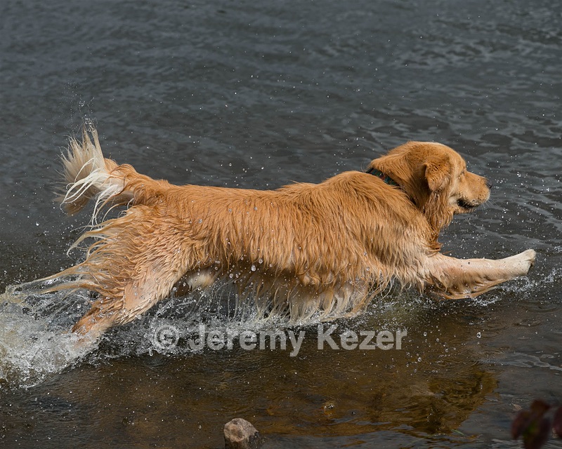 Opie