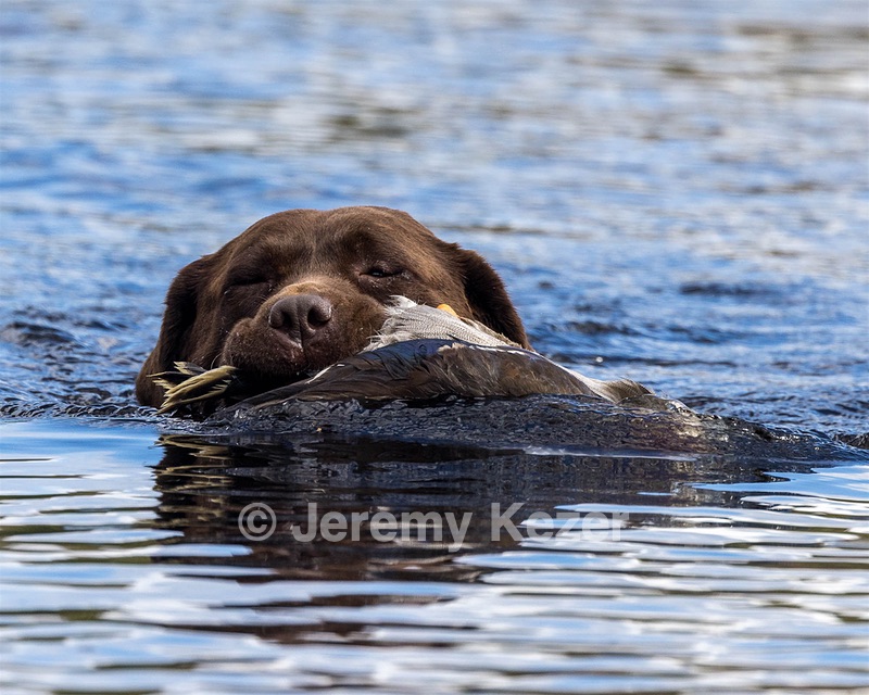 Victoria Oberg