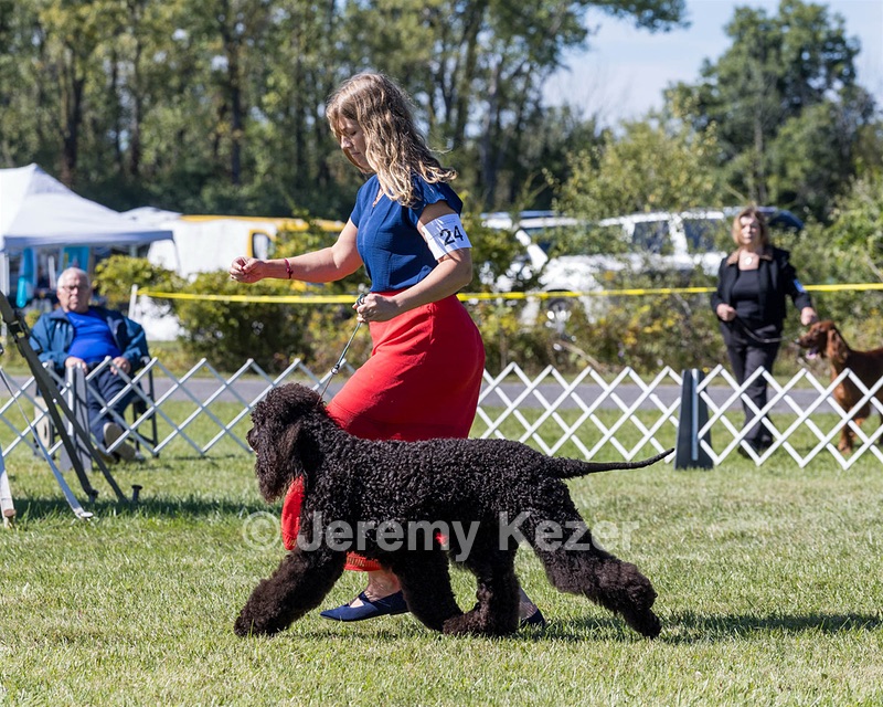24 - POOLE'S IDE MODERN LOVE CGC (Remi)
