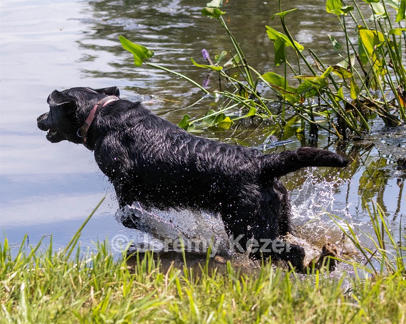 20190803-JHW-0019.jpg