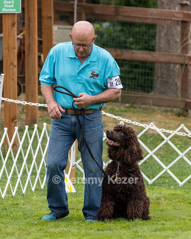 2802 - CH BLACKTHORN'S LASS THAT LOVES A SAILOR IN WICKLOW CD BN RM CGC