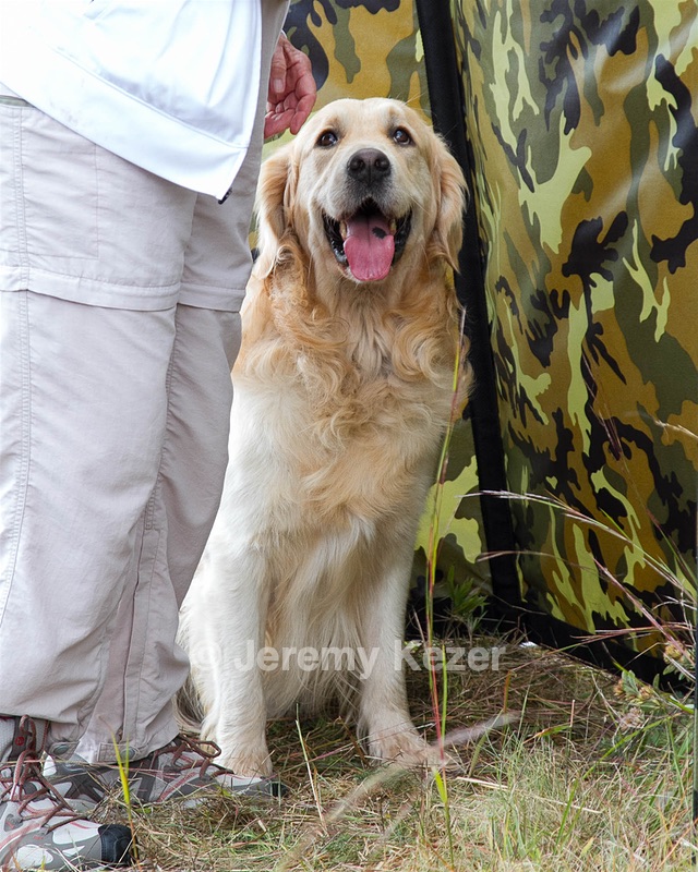 Ghillie