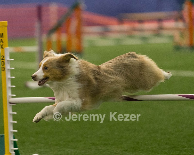 20150321-LEAP-1306.jpg