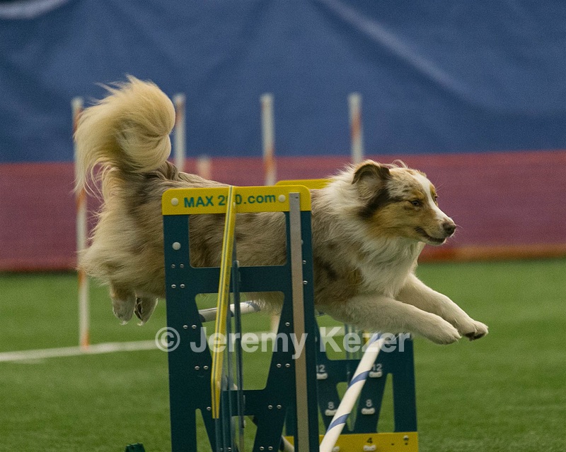 20150321-LEAP-0770.jpg