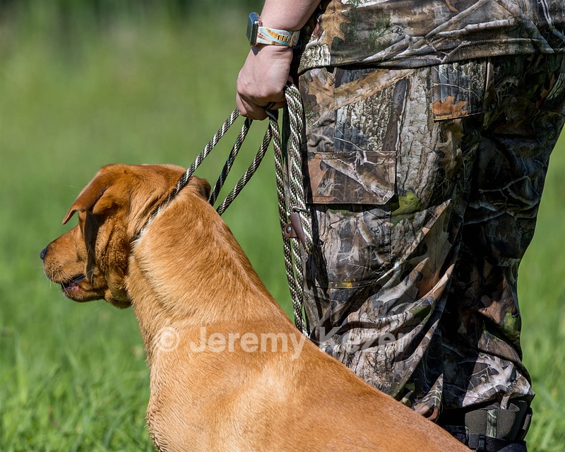 Murc Jackson