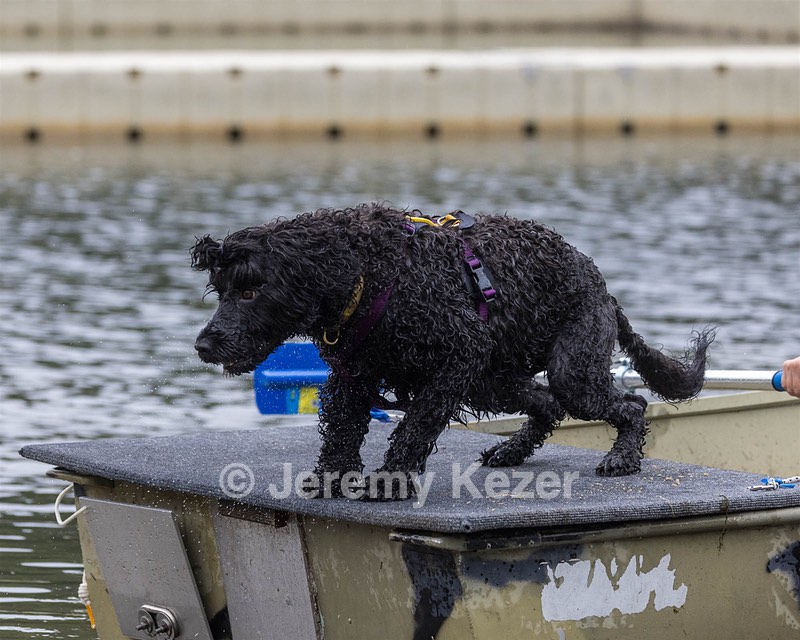 Nike Nickerson