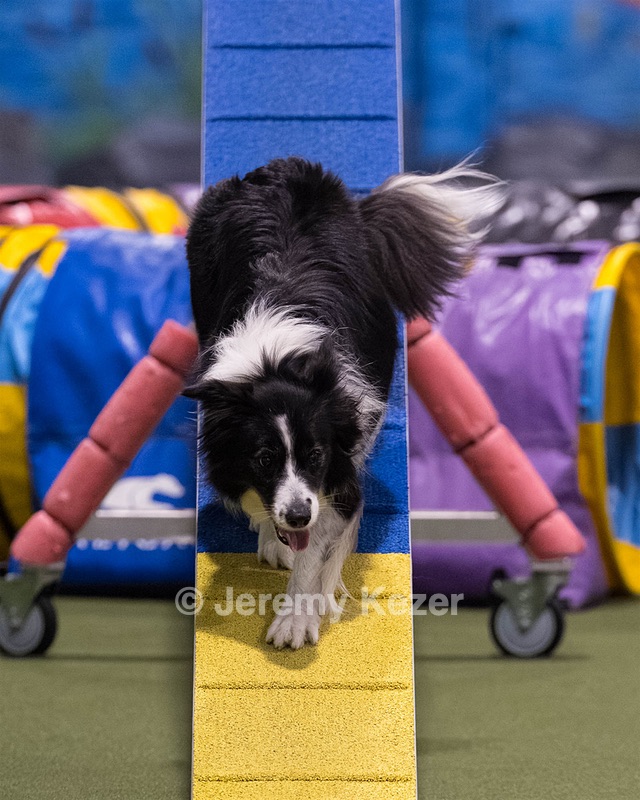 Breeze Schunk