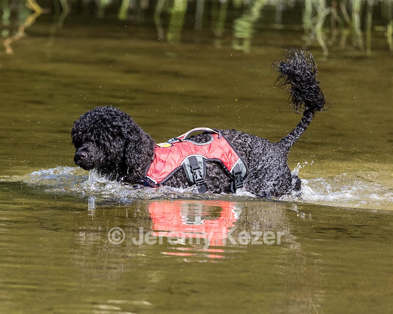 Breeze Holden