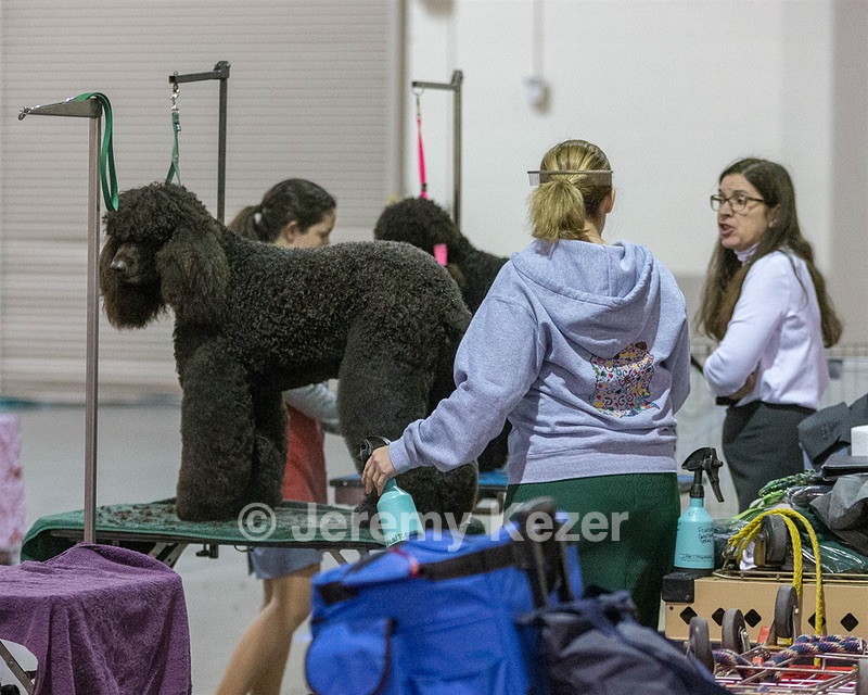 20190111-ASC-0006.jpg