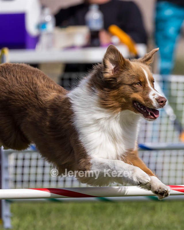 20230916-PVKC-1272.jpg