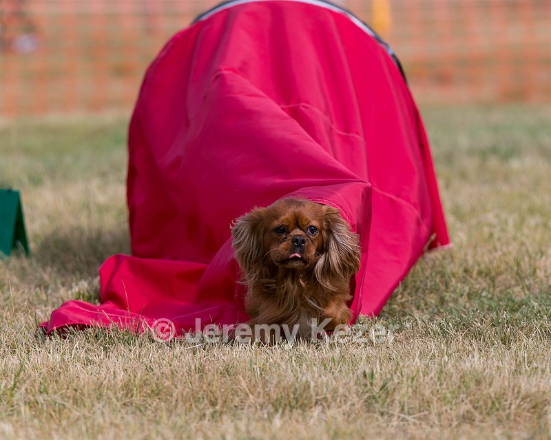 20150613-CCKC-0010.jpg