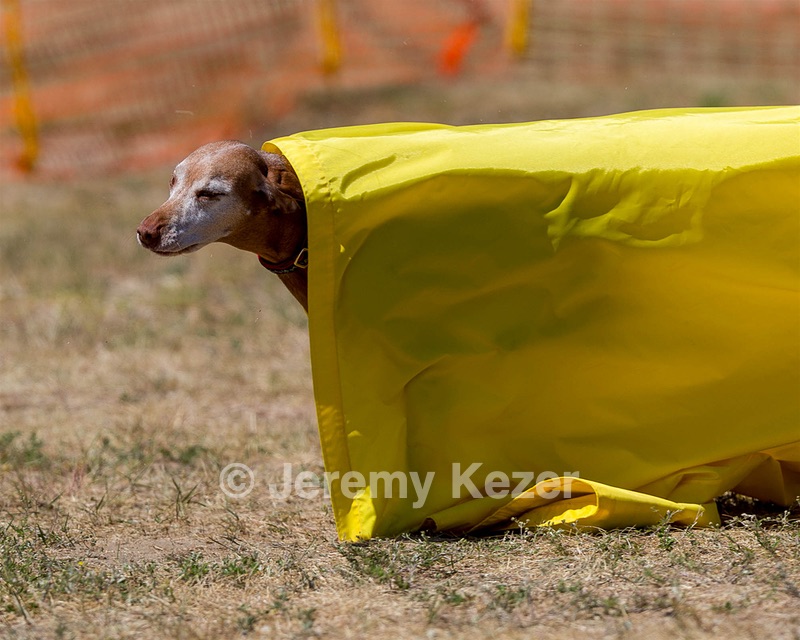 20160619-CCKC-1417.jpg
