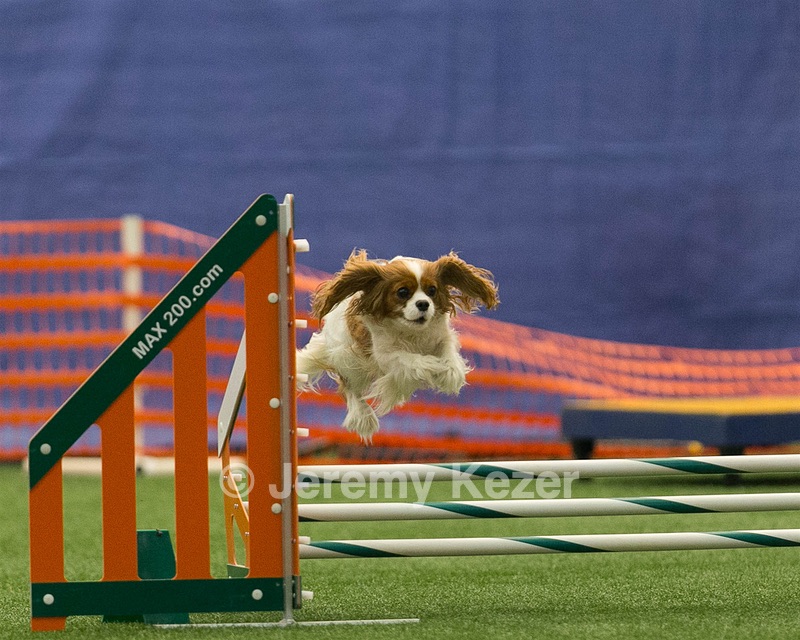 20150321-LEAP-1636.jpg