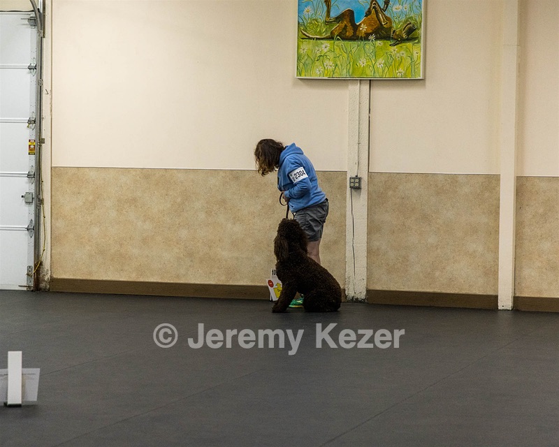2304 - GCH CH BREKKON'S FIRST MARK BN RN CGC TKN (Hunny)