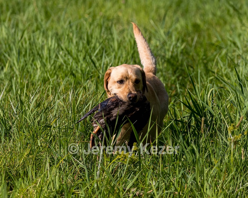 20200809-SHL-0055.jpg