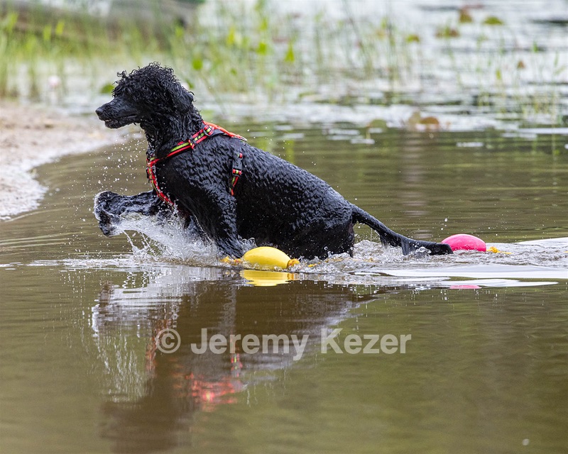 Ziva Hyres