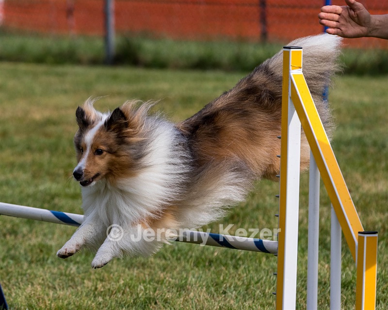 20200819-0341.jpg