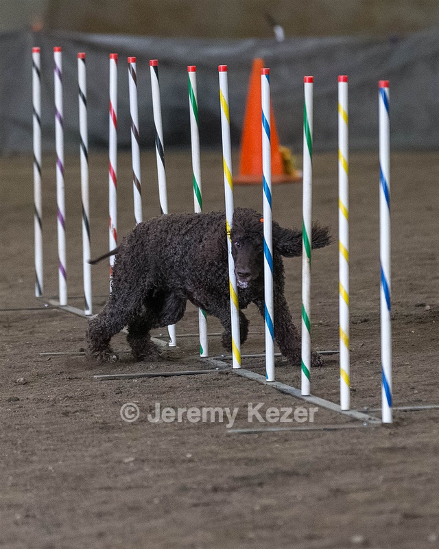 20190513-AG-0544.jpg