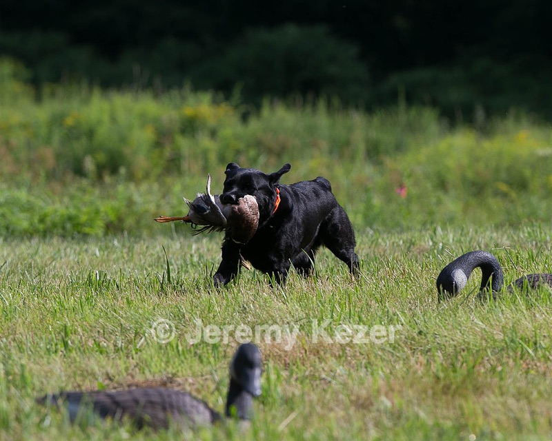 20130810-JHL-0324.jpg