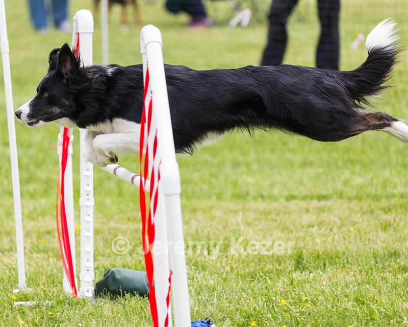 20160515-NEAT-1327.jpg
