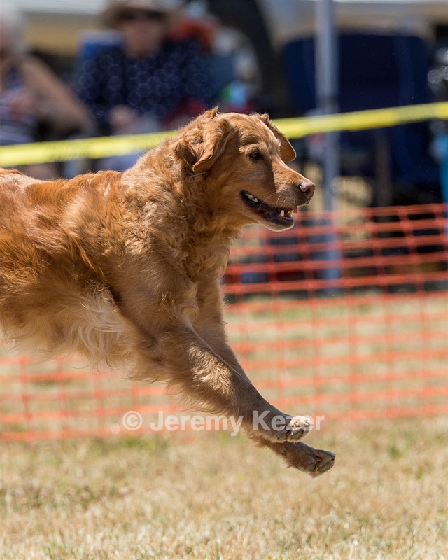 20160618-CCKC-1168.jpg