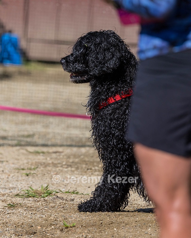 Penny Kocher