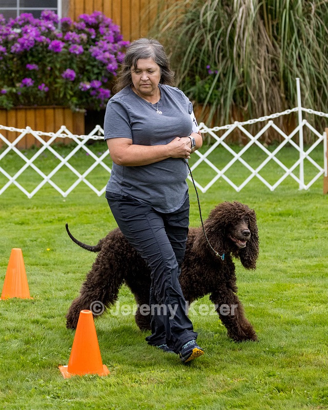 1101 - FINNIBONE'S CUZ MAMA CAN RE DS DJA CGC TKN VHMA (Mama Cass)