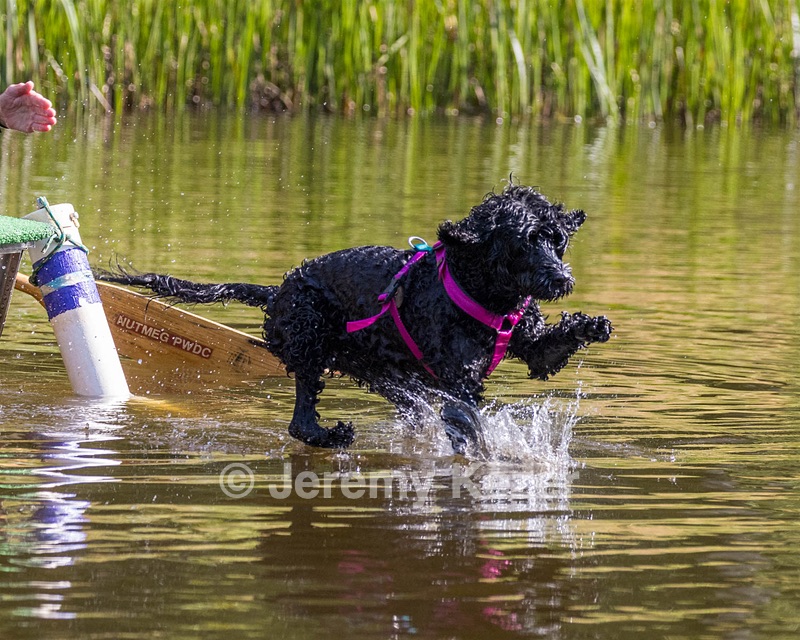 "Rory" and Patti