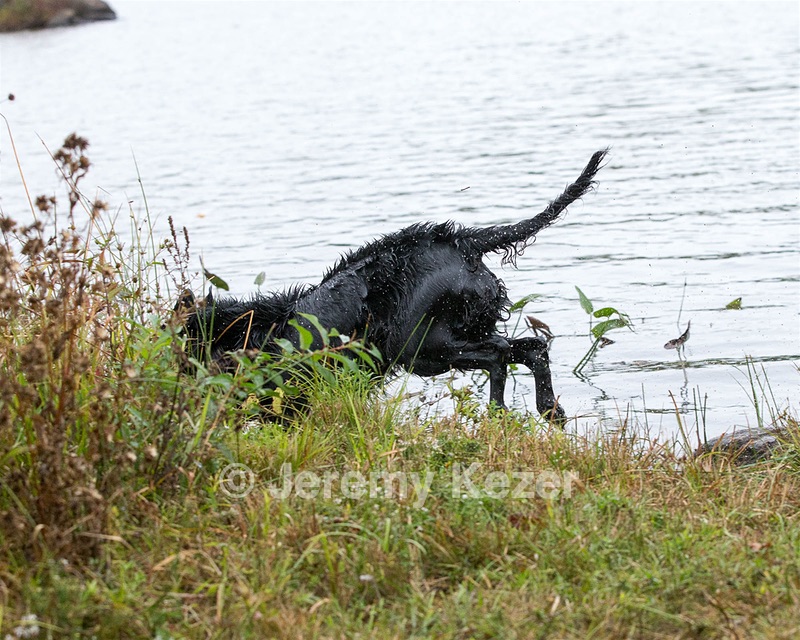 20141004-WCXW-0465.jpg